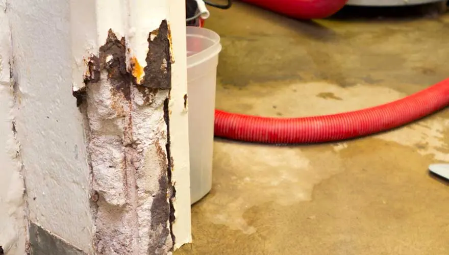 Travaux de peinture après un dégât des eaux